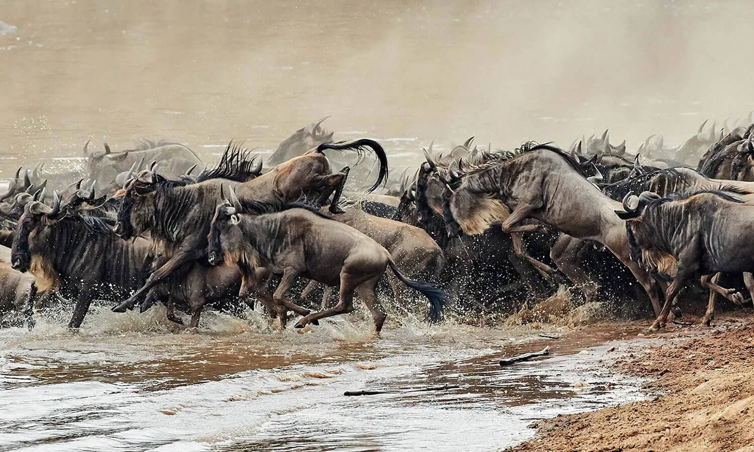 7 Days | Samburu - Mt.Kenya - Nakuru - Maasai Mara