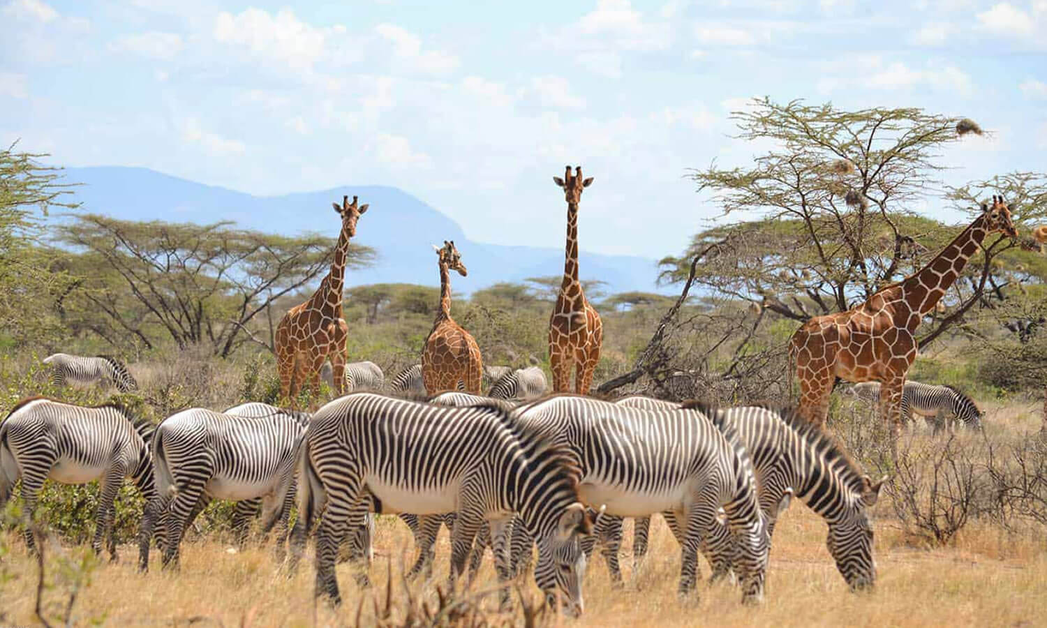 3 Days | Samburu Game Reserve